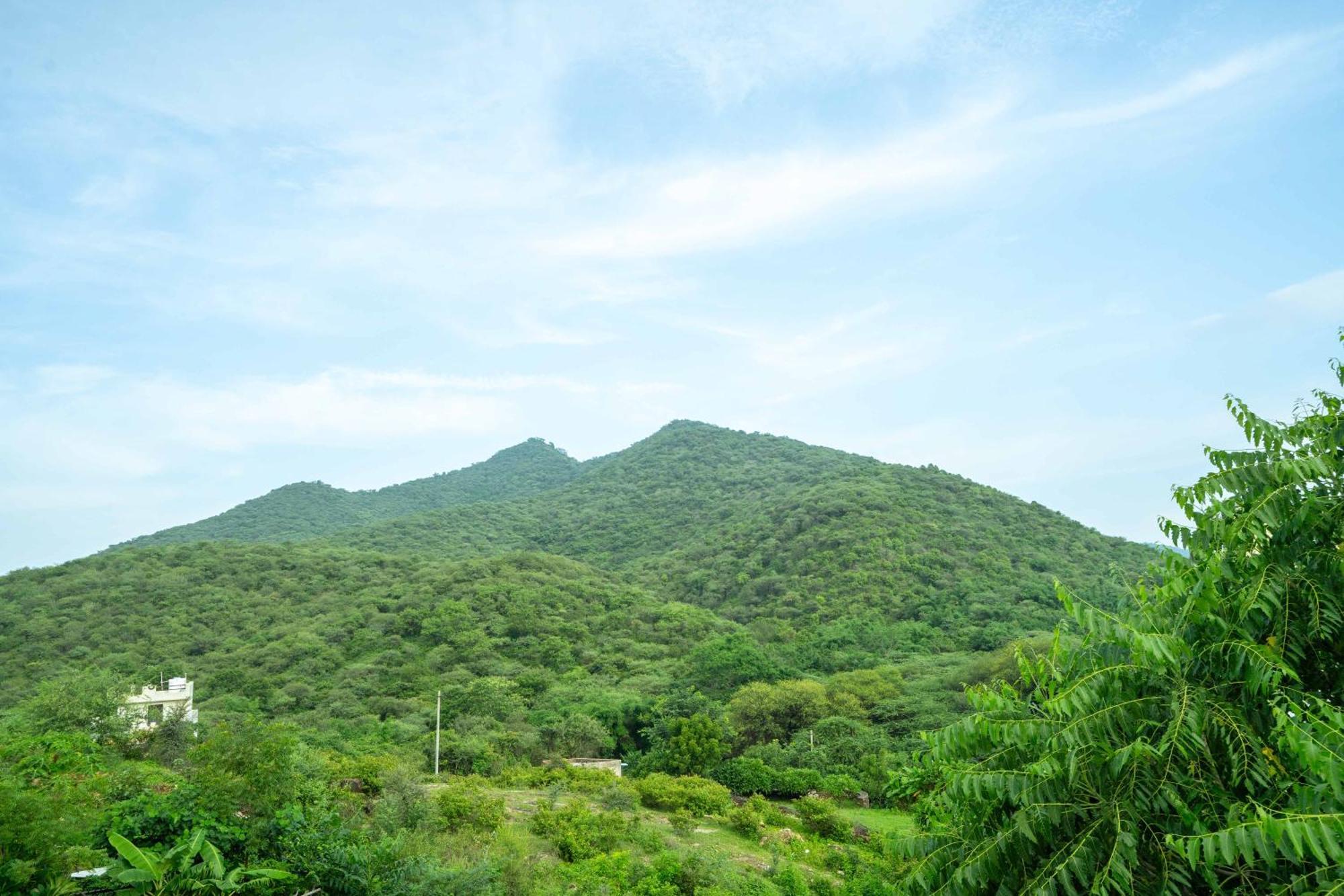 烏代浦 Treebo The Aravali Getaway酒店 外观 照片